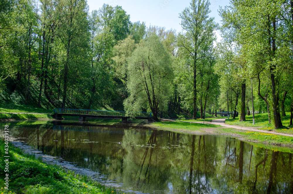 Fototapeta premium river in the city park and roads