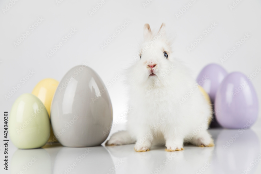 Egg,Little bunny, happy easter background Egg,Little bunny, happy easter background