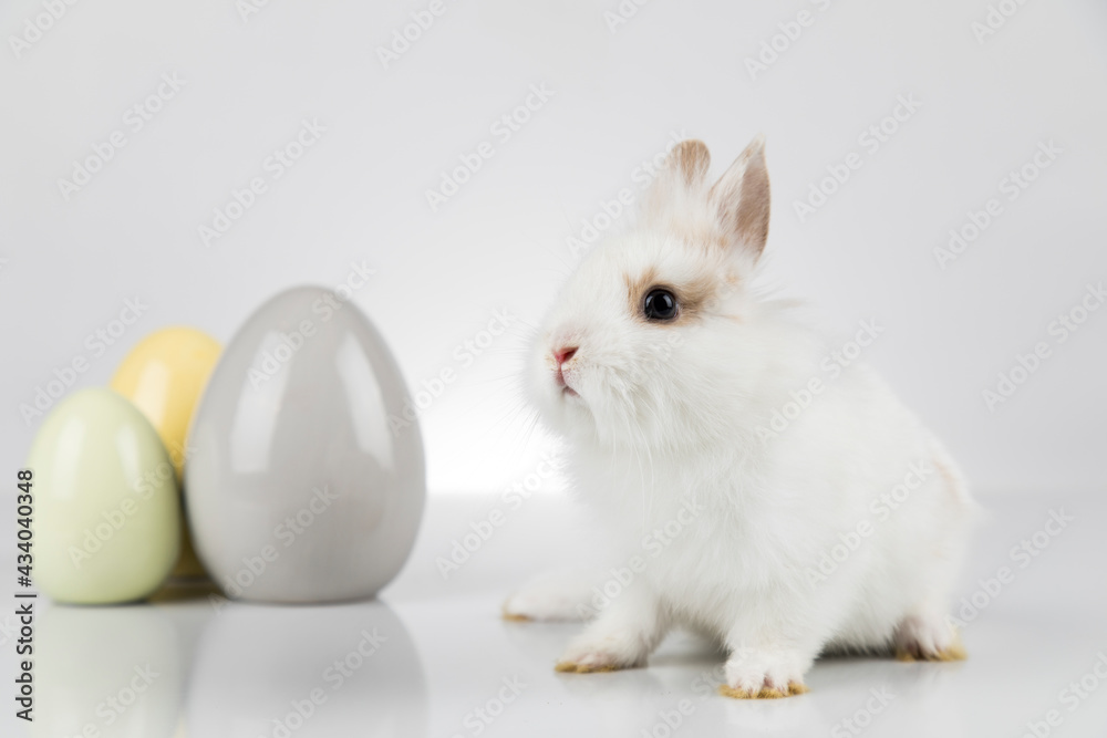 Obraz premium Baby bunny and egg, easter background