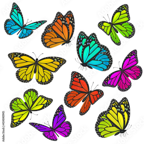 Big collection of colorful butterflies. Vector illustration 