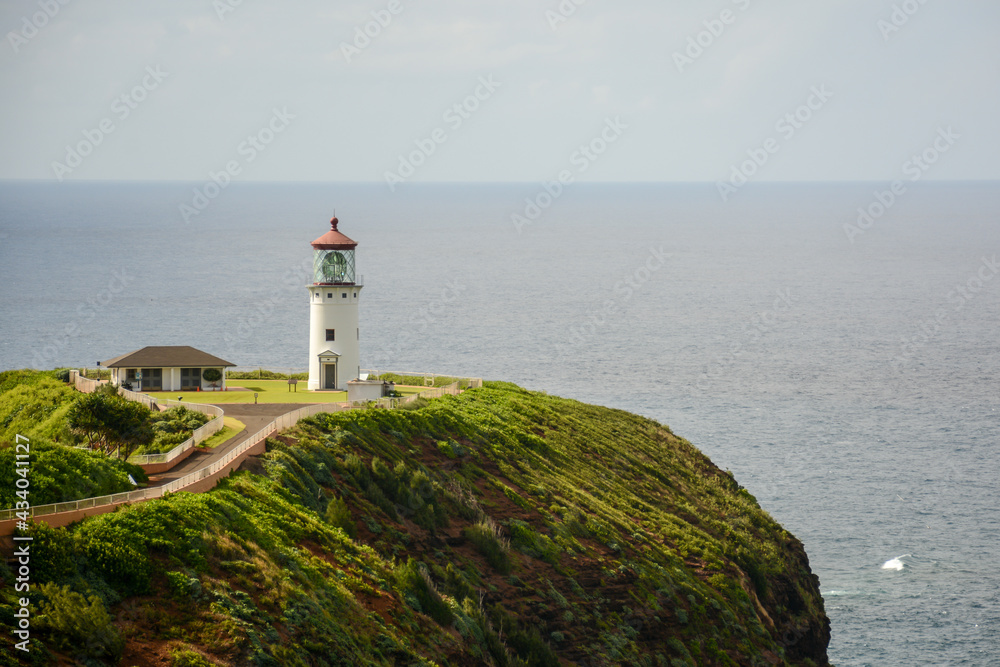 lighthouse on a green coastline