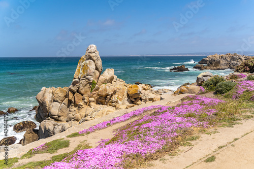 View of the Pacific Ocean and the blooming shore, Lovers Point Park, Monterey photo