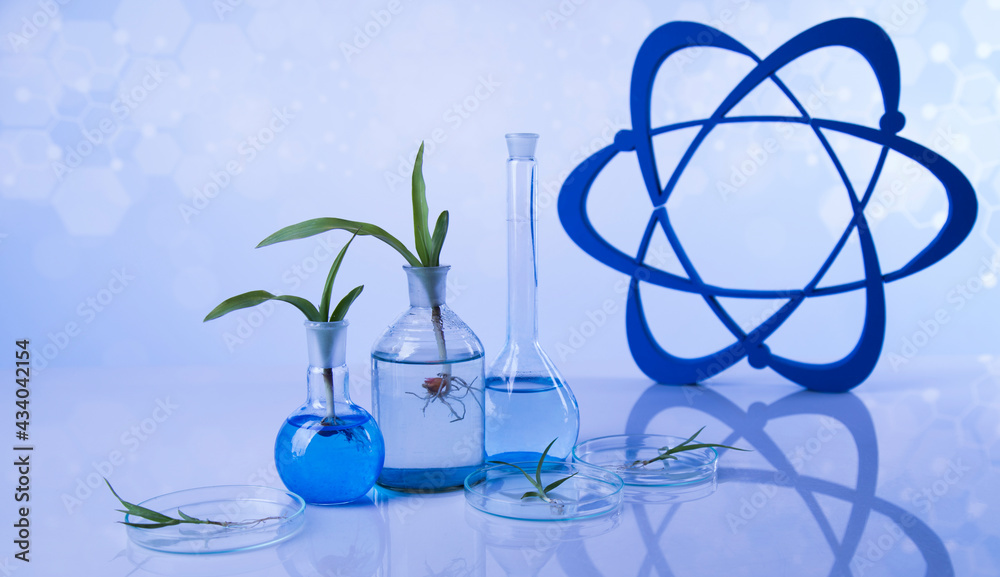 Atom, Laboratory glassware, genetically modified plant
