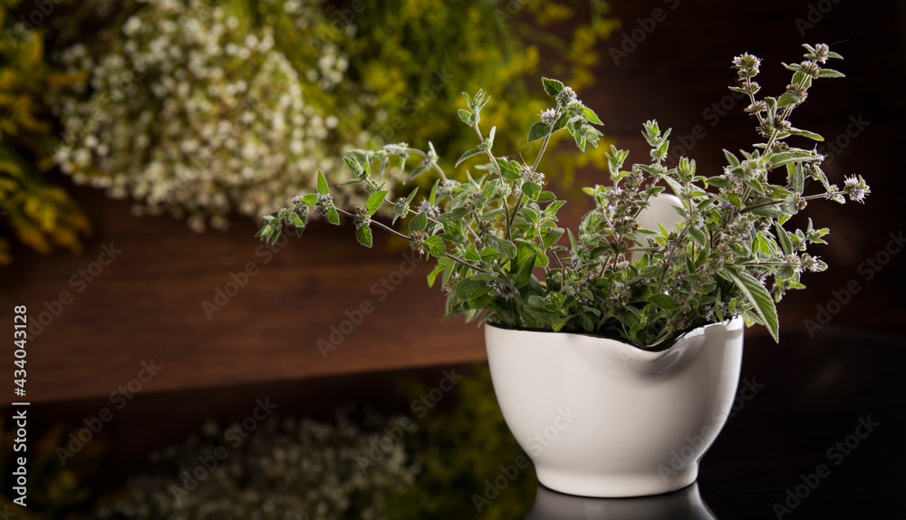 Black mirror background, Natural remedy, healing herbs Black mirror background, Natural remedy, healing herbs