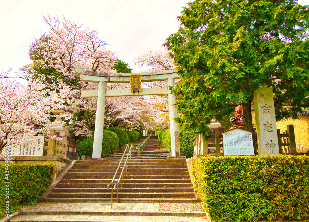 Obraz premium 京都、宗忠神社の参道