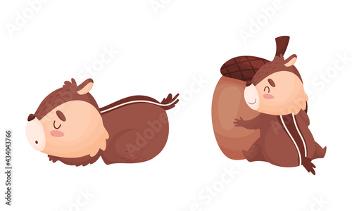 Cartoon Chipmunk with Striped Body Sleeping and Sitting Embracing Acorn Vector Set