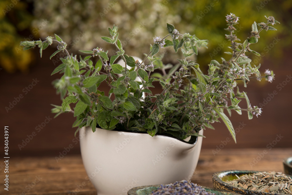 Homeopathy, herbal medicine on wooden table Homeopathy, herbal medicine on wooden table