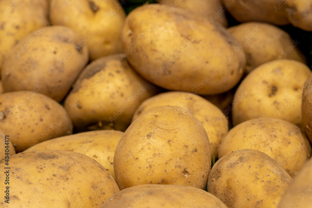 Organic potatoes. Close-up potato background Organic potatoes. Close-up potato background