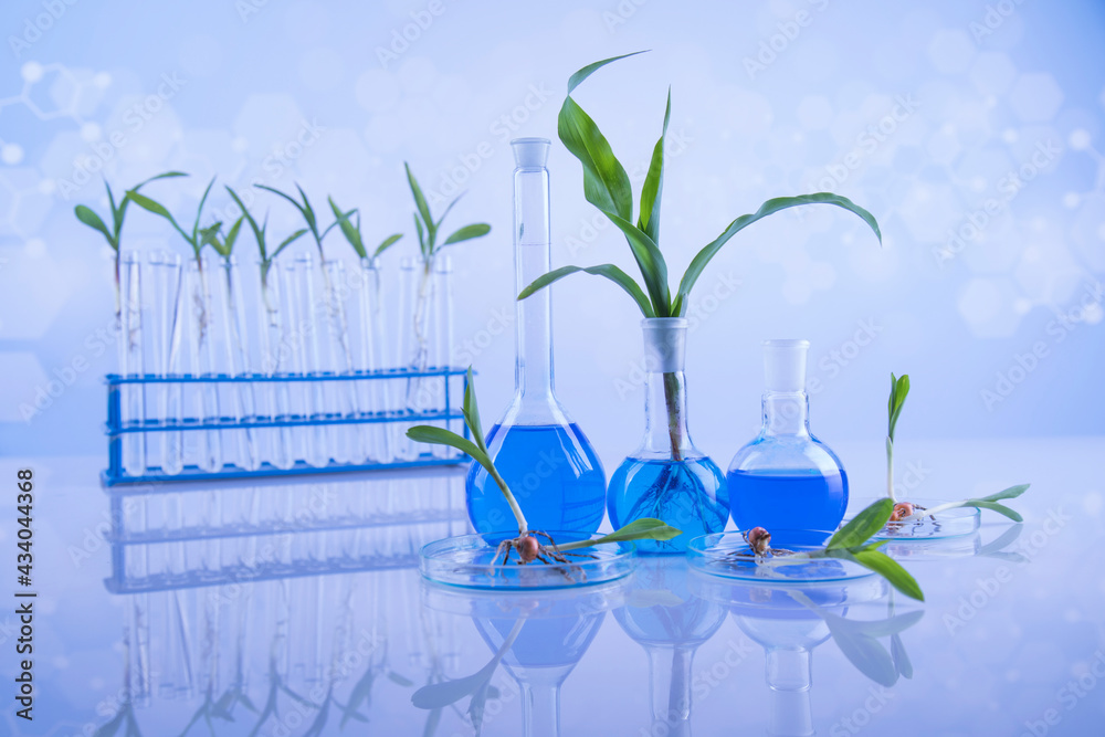 Chemistry equipment, plants laboratory experimental Chemistry equipment, plants laboratory experimental
