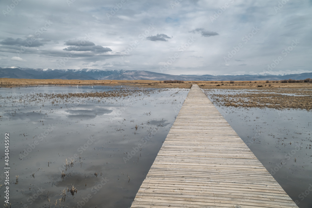 Moody panorama view of a bridge with marshes and pond inside Sultan Reedy (Sultansazligi) National Park, Central Anatolia, Turkey