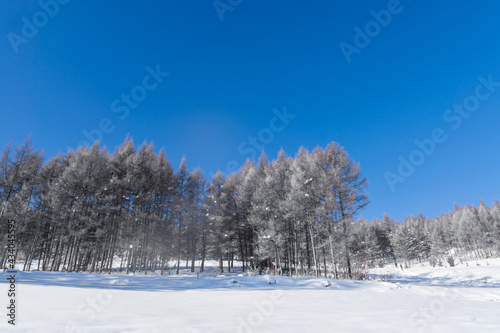 Forests and villages in jilin, China, after snow in winter © starxm