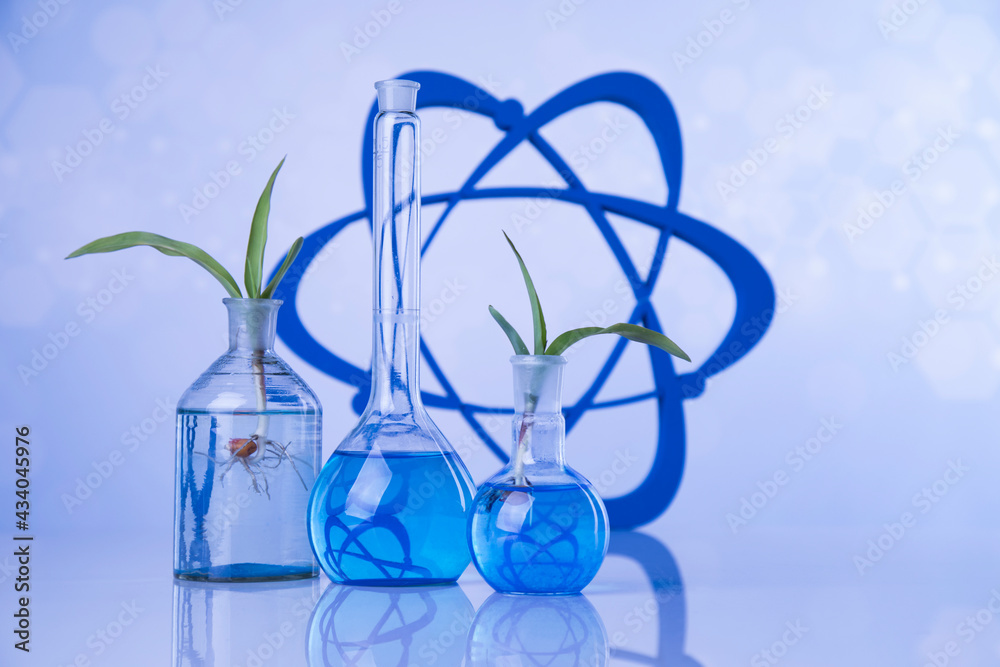 Laboratory glassware, genetically modified plant