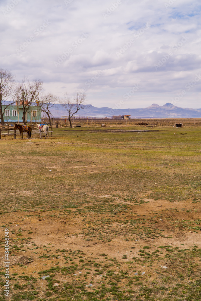 Vertical view of a horse ranch inside Sultan Reedy (Sultansazligi) National Park, Central Anatolia, Turkey with mountains in the background