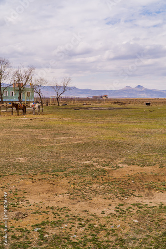 Fototapeta Naklejka Na Ścianę i Meble -  Vertical view of a horse ranch inside Sultan Reedy (Sultansazligi) National Park, Central Anatolia, Turkey with mountains in the background