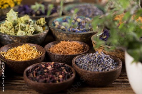 Assorted natural medical  herbs and mortar