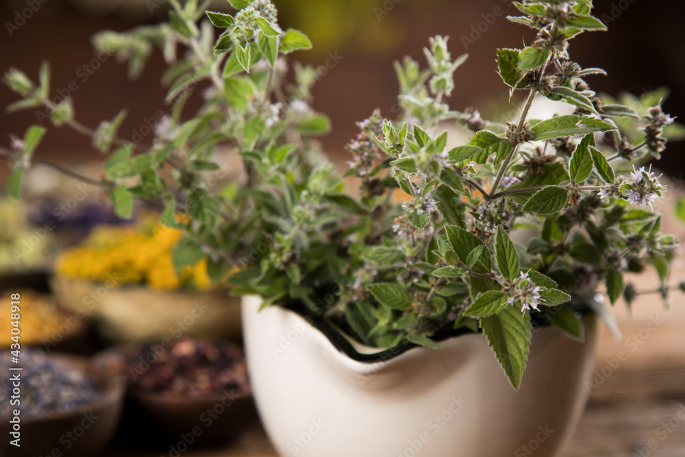 Natural remedy and mortar, healing herbs background Natural remedy and mortar, healing herbs background