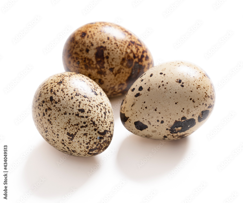 Quail eggs on white background. Clipping path. Quail eggs on white background. Clipping path.