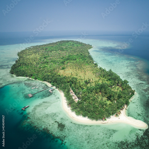 view of island with trees