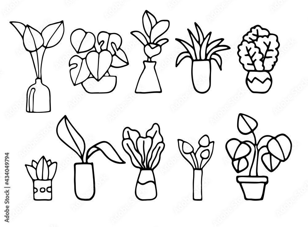 Set of Houseplants in Doodle Style. Contour plants for the interior. Vector EPS 10