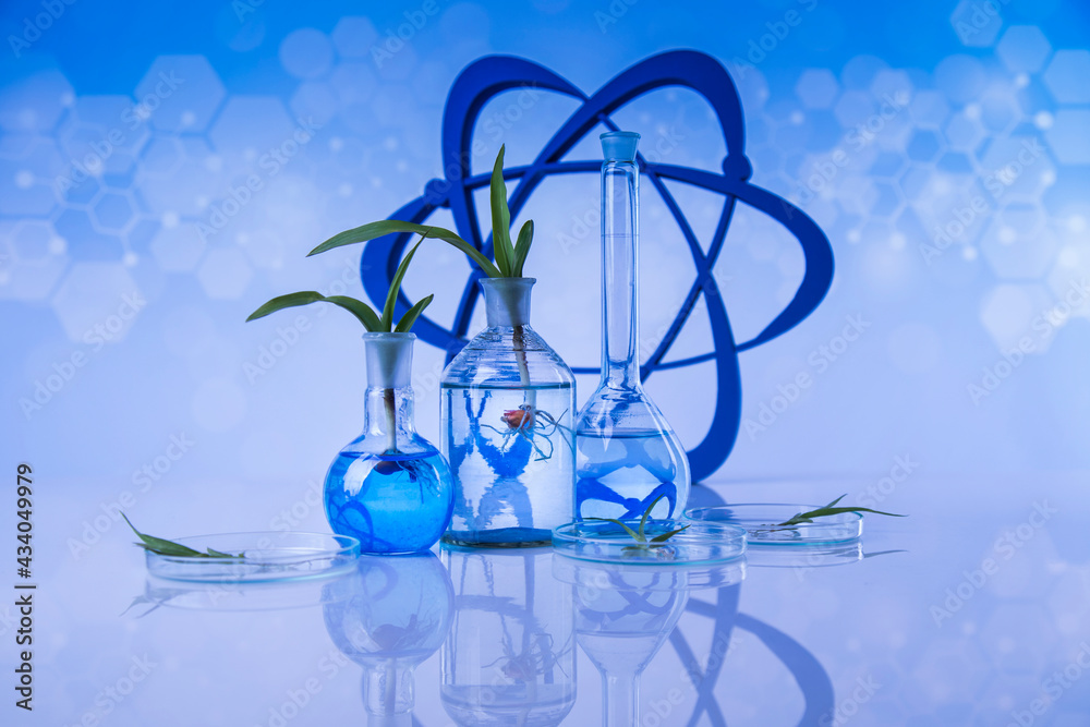 Chemical laboratory glassware, Genetically modified plant Chemical laboratory glassware, Genetically modified plant