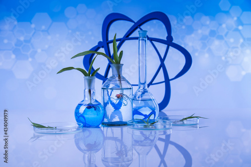 Chemical laboratory glassware, Genetically modified plant © Sebastian Duda