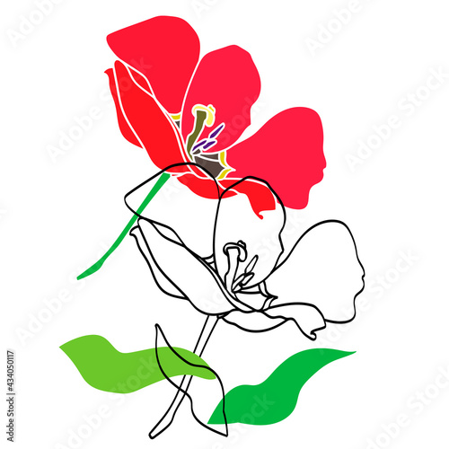 Vector Tulip Pattern. Image on a white and colored background.