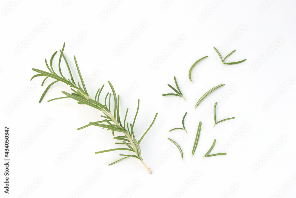 Fresh rosemary herb on the white background. Top view.