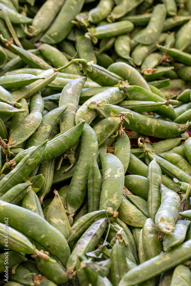 fresh peas in the market. peas in bulk. ripe peas in a street market fresh peas in the market. peas in bulk. ripe peas in a street market