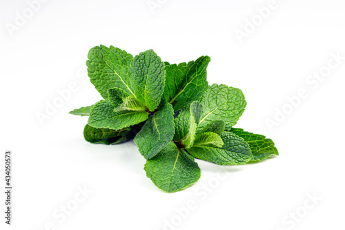 Fresh mint leaves bundle. Green mint bunch isolated on white background. Part of set.