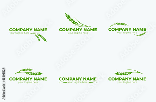 rice or wheat green eco logo bundle