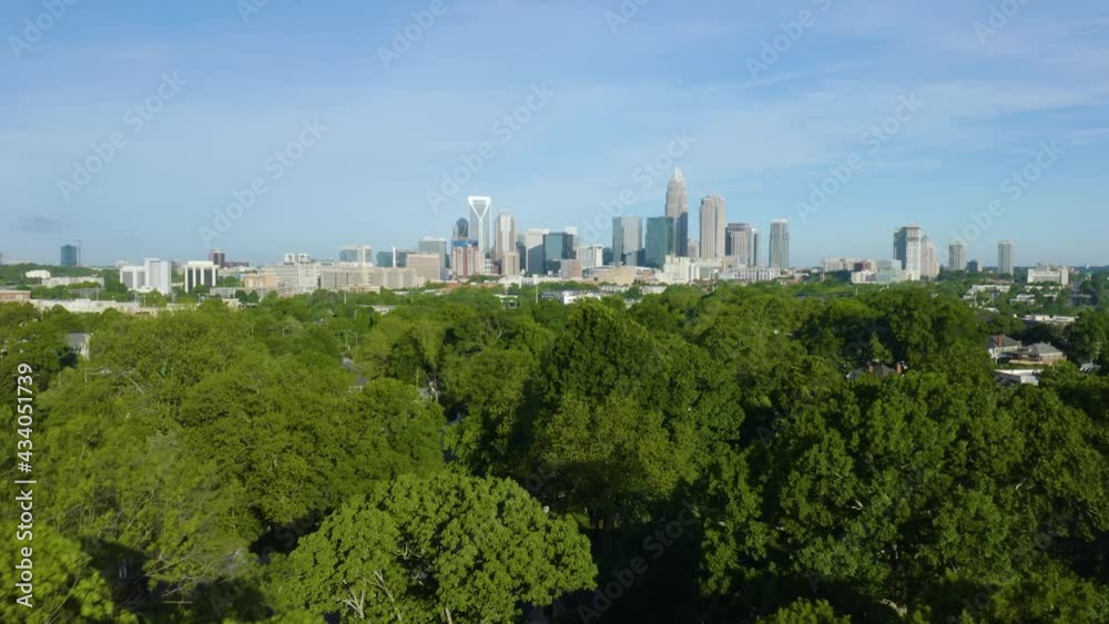 Charlotte Skyline Revealed behind Green Treetops on Windy Day Charlotte Skyline Revealed behind Green Treetops on Windy Day