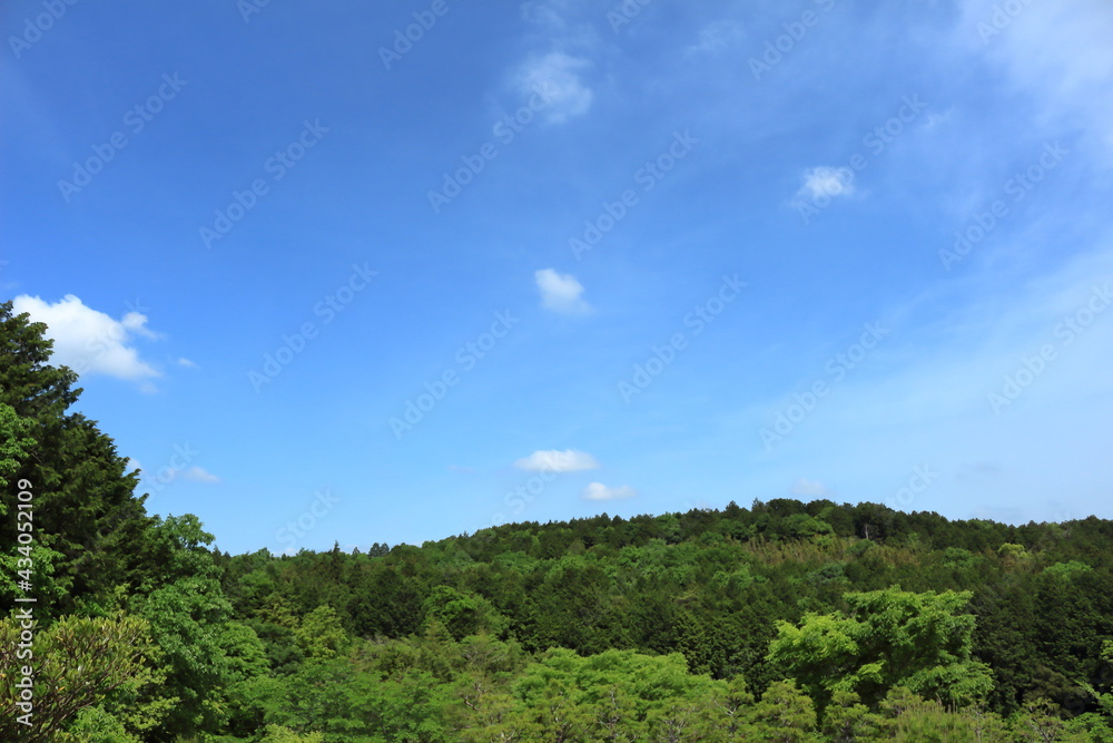 新緑に色どられた山の景色 新緑に色どられた山の景色