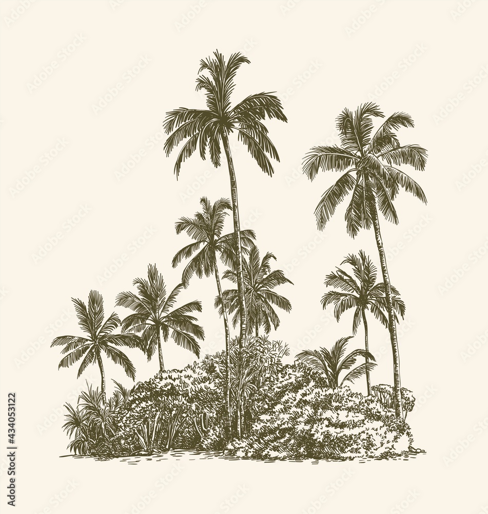three palm trees grow on a wild beach. vector sketch on white background
