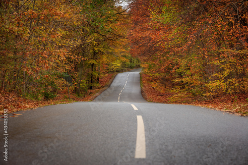 Photography A local Road Denmark in autumn colours