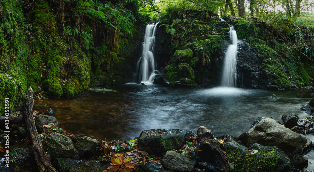 A hidden waterfall in green natural paradise. Dense forest with fallen trees, amazing light, flowing water. Very relaxing, pure natural scene, peaceful and quiet.