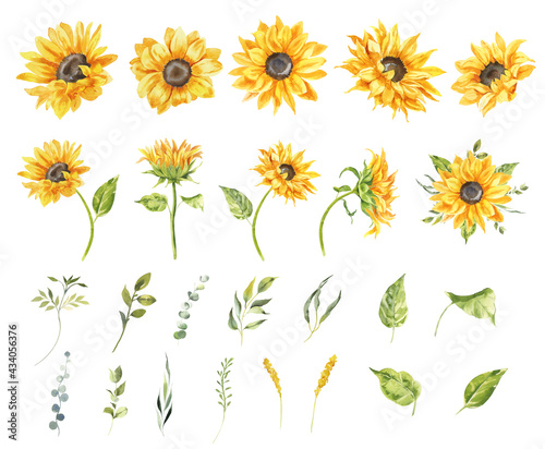 Watercolor sunflowers illustration set. Yellow summer flowers, Floral elements, Wildflowers.