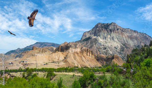Mountain valley with soaring eagles. High mountains above a green valley against a blue sky. Panoramic view.