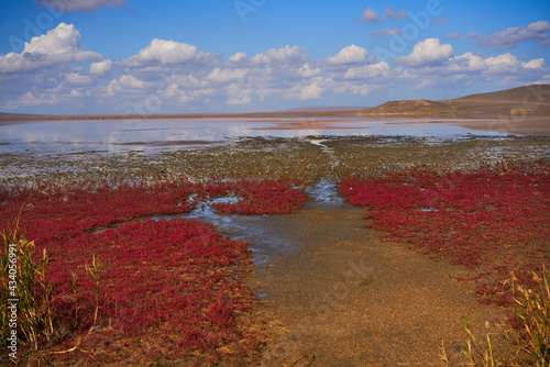 Panorama of the Koyashskoe pink salt lake in the National Opuk Reserve photo