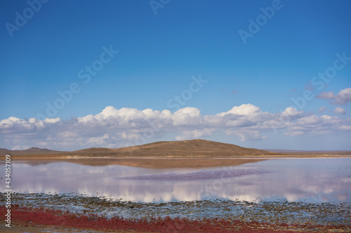 Panorama of the Koyashskoe pink salt lake in the National Opuk Reserve