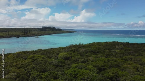 Wallpaper Mural Sweeping aerial view of columnar pines and Pacific Ocean, Lifou, New Caledonia. Torontodigital.ca