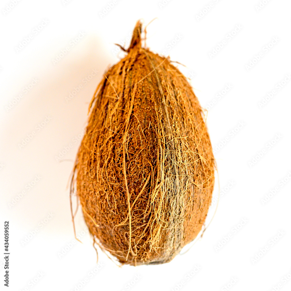 coconut tropical fruit isolated on white background. bright one whole ...