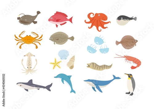 海の生き物のイラストセット