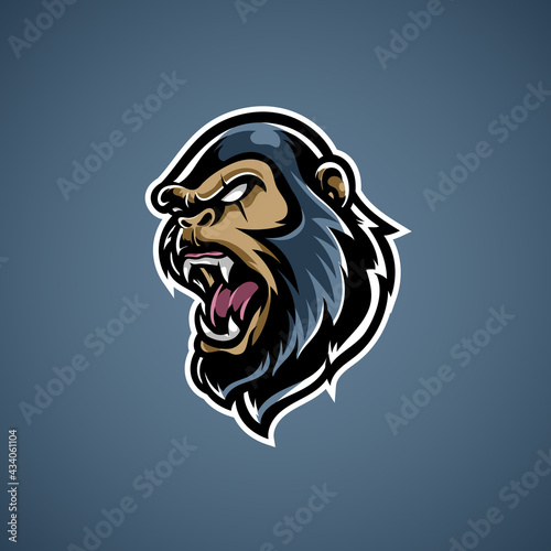 Kong E sport mascot logo