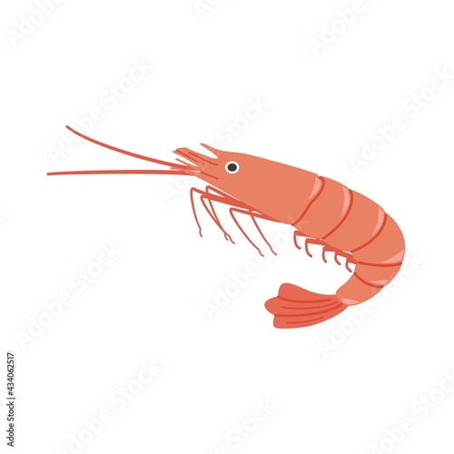 エビのイラスト