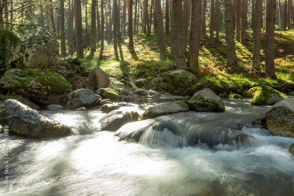Senda de las pesquerías reales en Valsaín Segovia