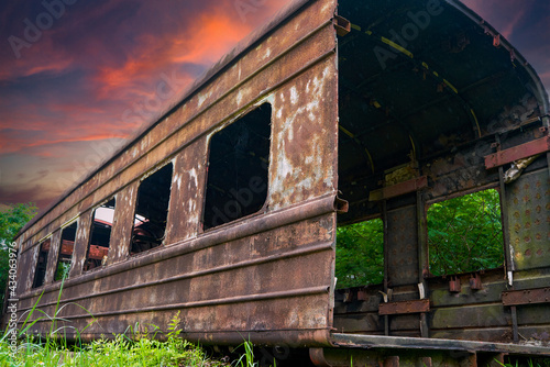 A batch of rusty train carriages abandoned in the forest