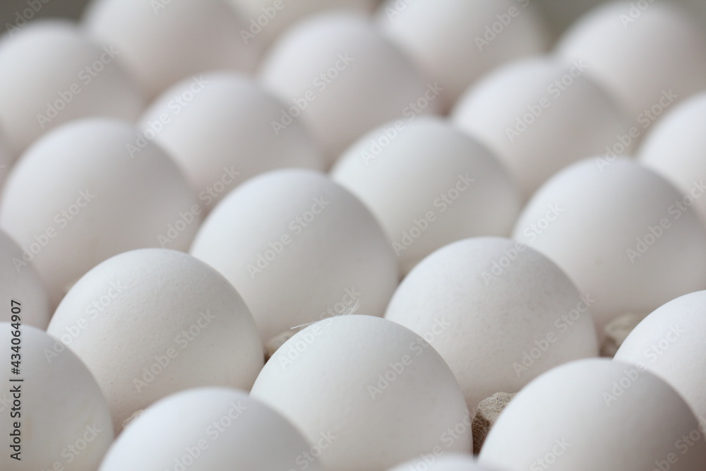 eggs in a carton eggs in a carton