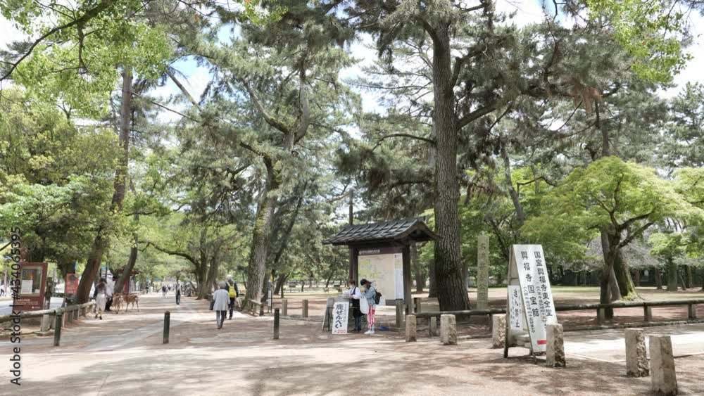 A crowded street in Nara Park, Nara, Japan, May 12, 2021. A crowded street in Nara Park, Nara, Japan, May 12, 2021.