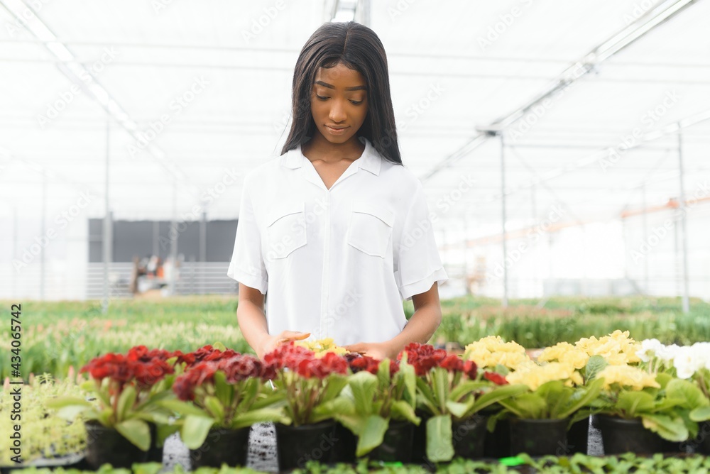 pretty young african gardener portrait in greenhouse