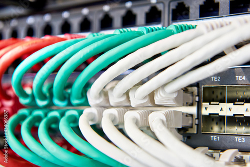 Network cables with connectors on switch photo